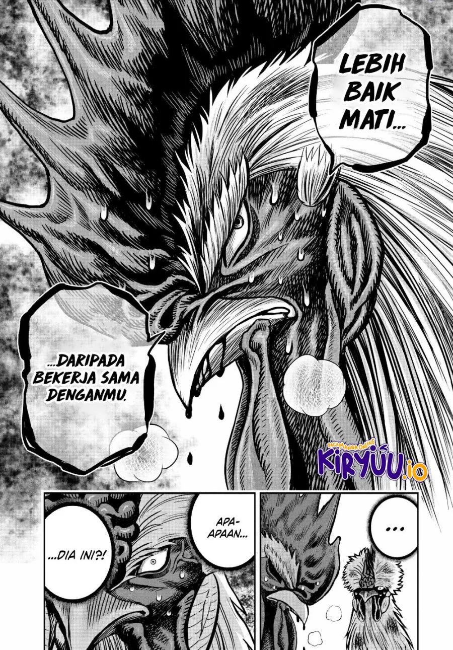 Rooster Fighter Chapter 24 - halaman 33