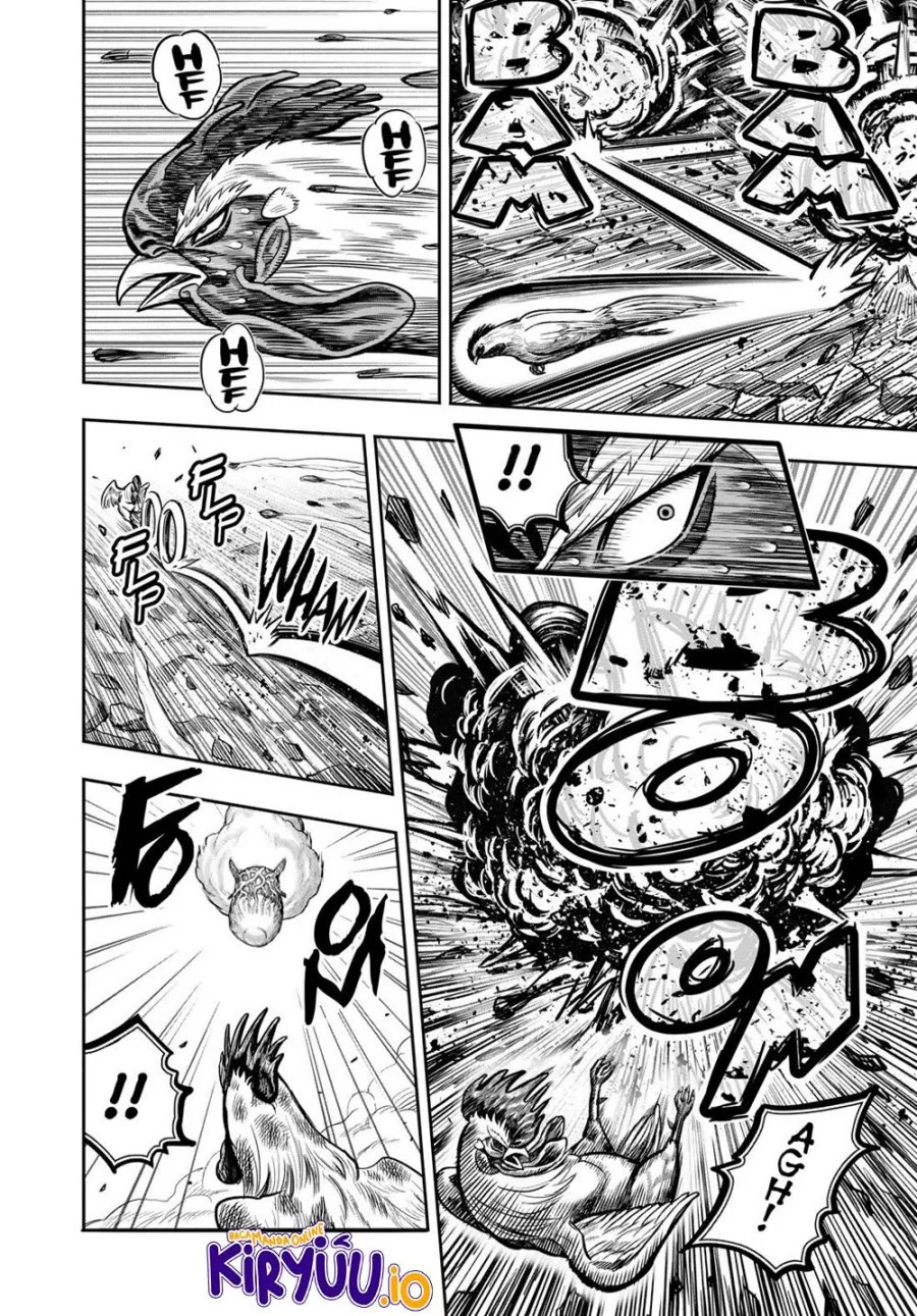 Rooster Fighter Chapter 25 - halaman 16