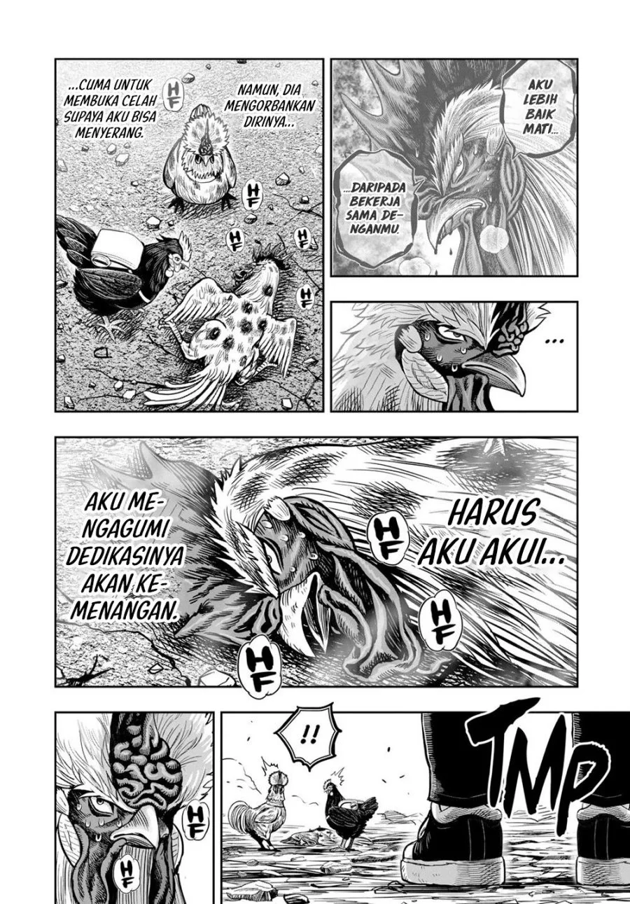 Rooster Fighter Chapter 25 - halaman 59