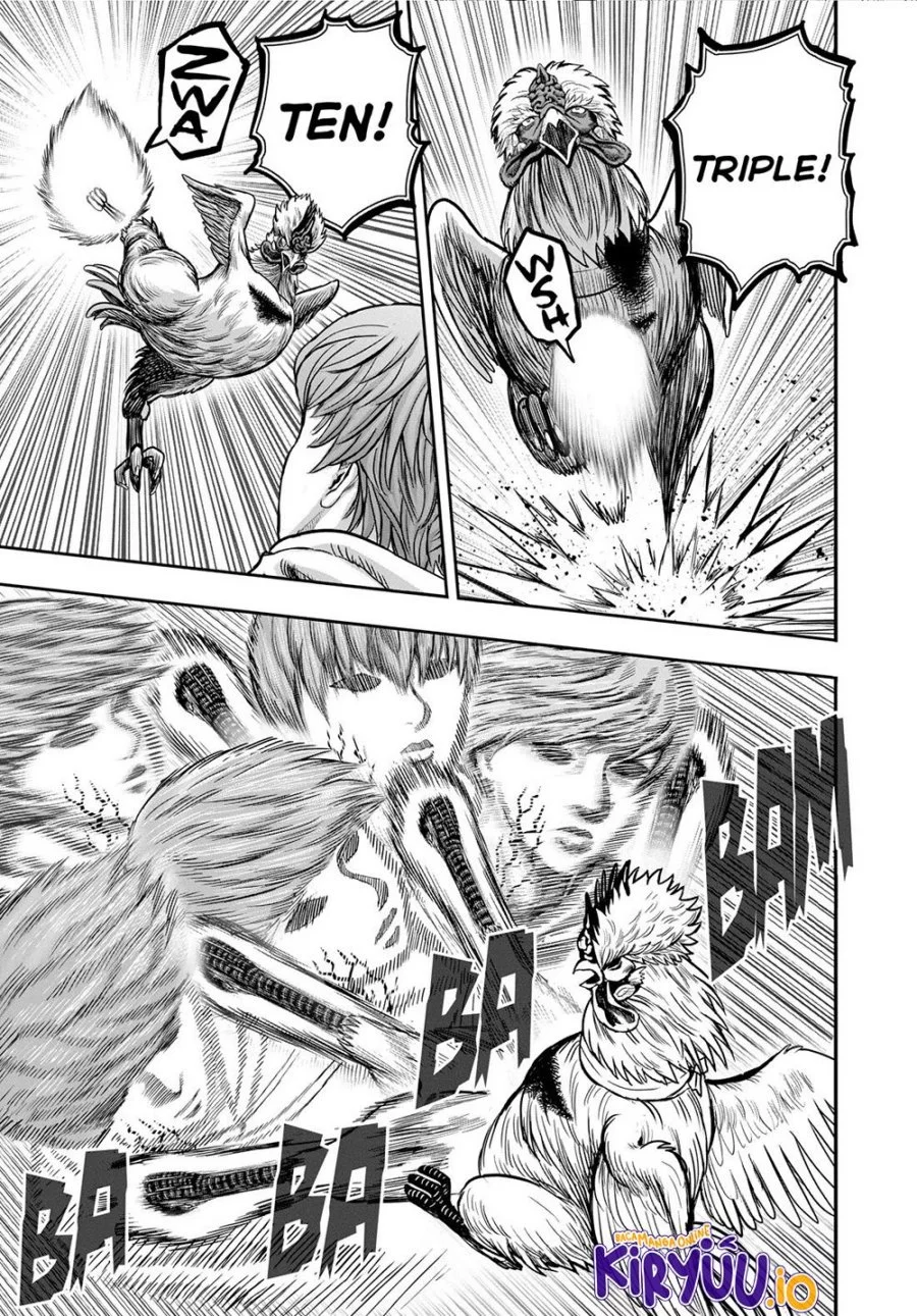 Rooster Fighter Chapter 26 - halaman 16