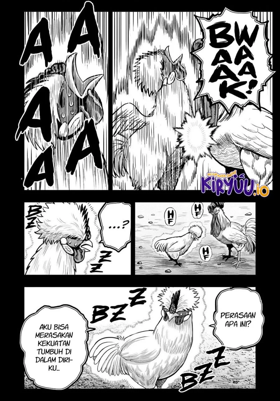 Rooster Fighter Chapter 26 - halaman 25
