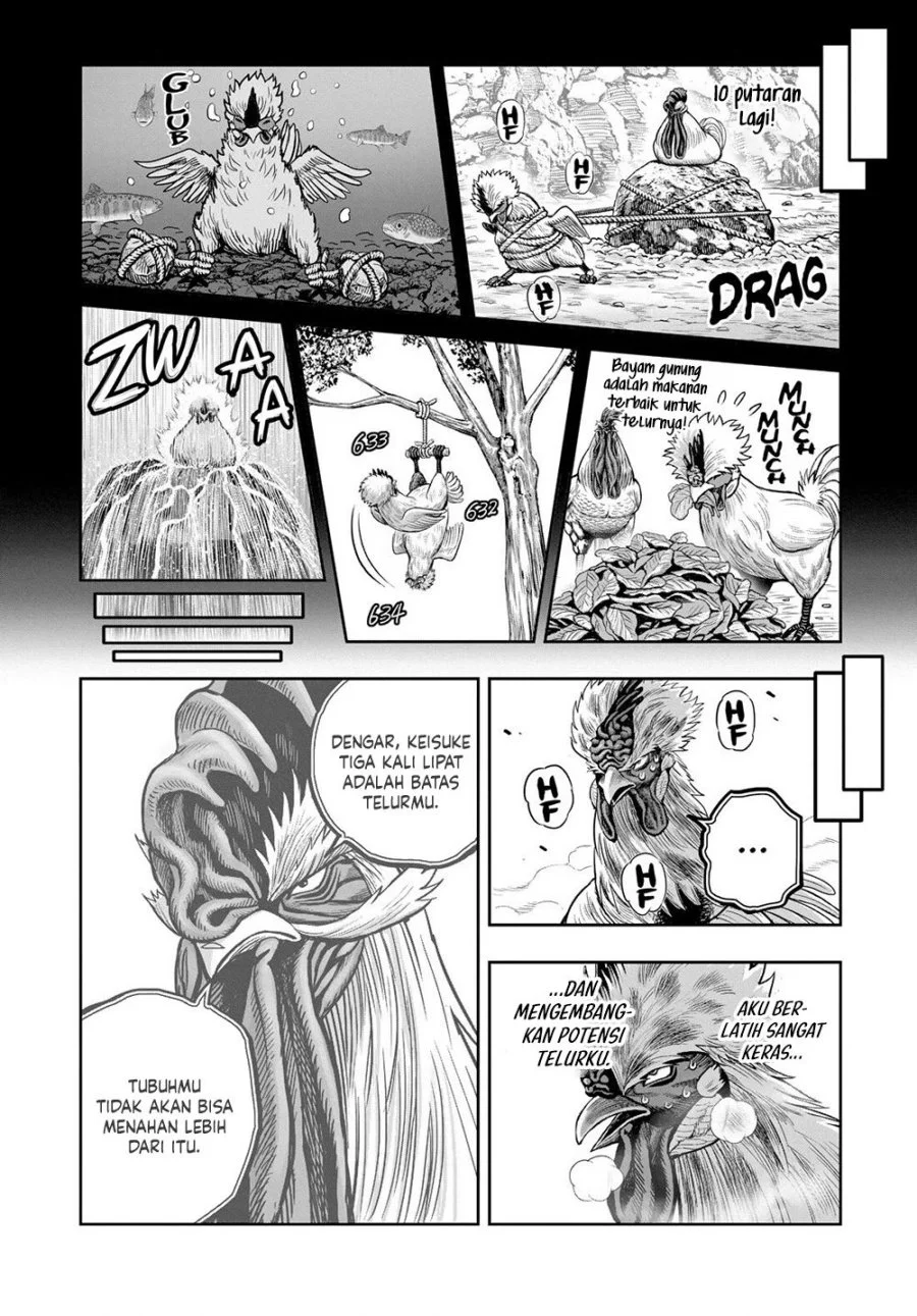 Rooster Fighter Chapter 26 - halaman 31