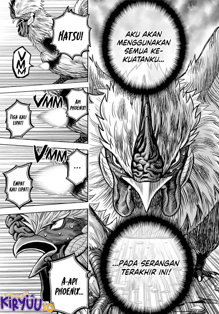 Rooster Fighter Chapter 26 - halaman 34