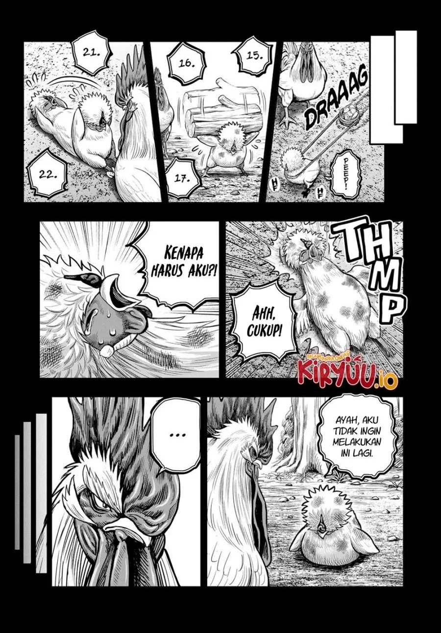 Rooster Fighter Chapter 27 - halaman 12