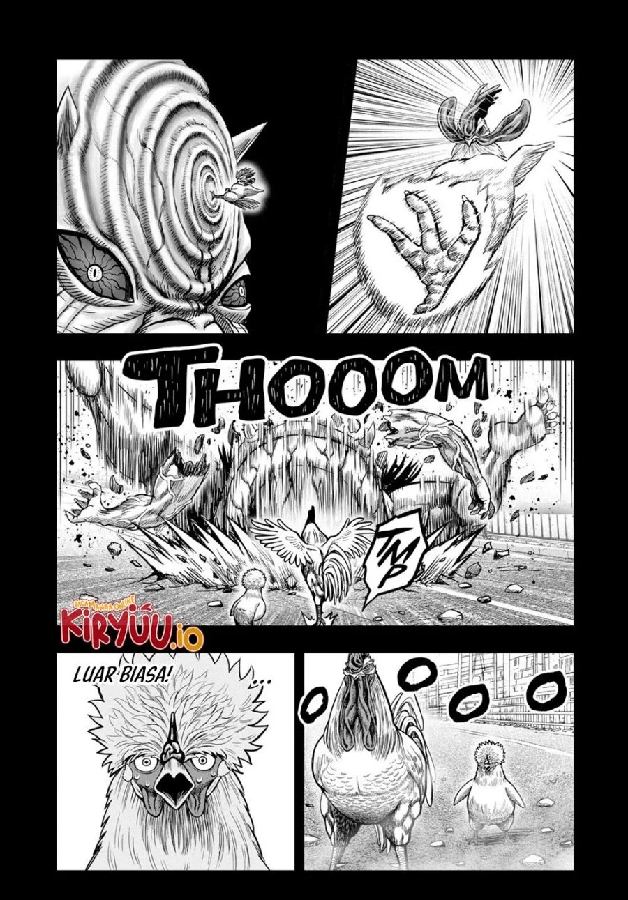 Rooster Fighter Chapter 27 - halaman 14