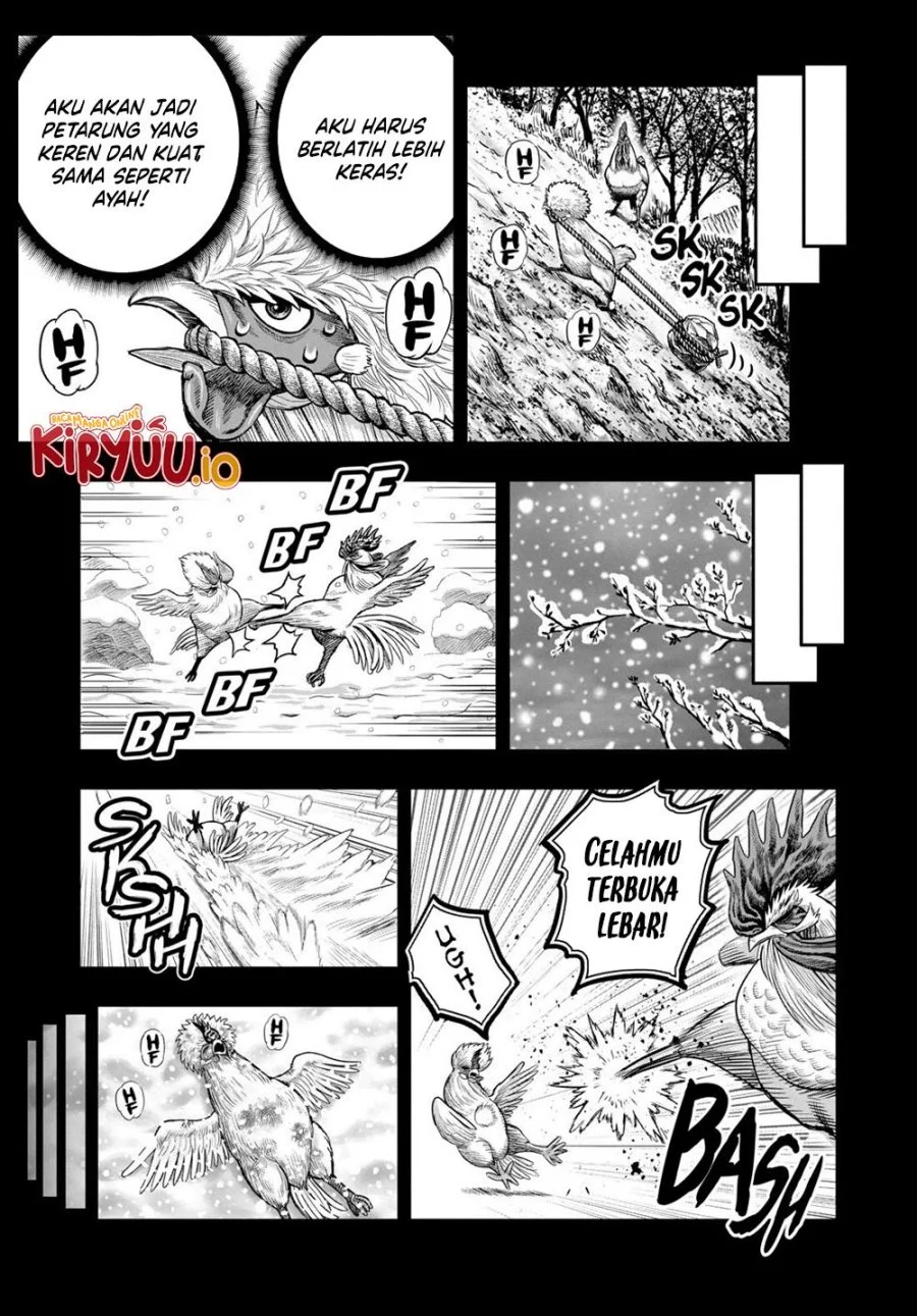 Rooster Fighter Chapter 27 - halaman 16
