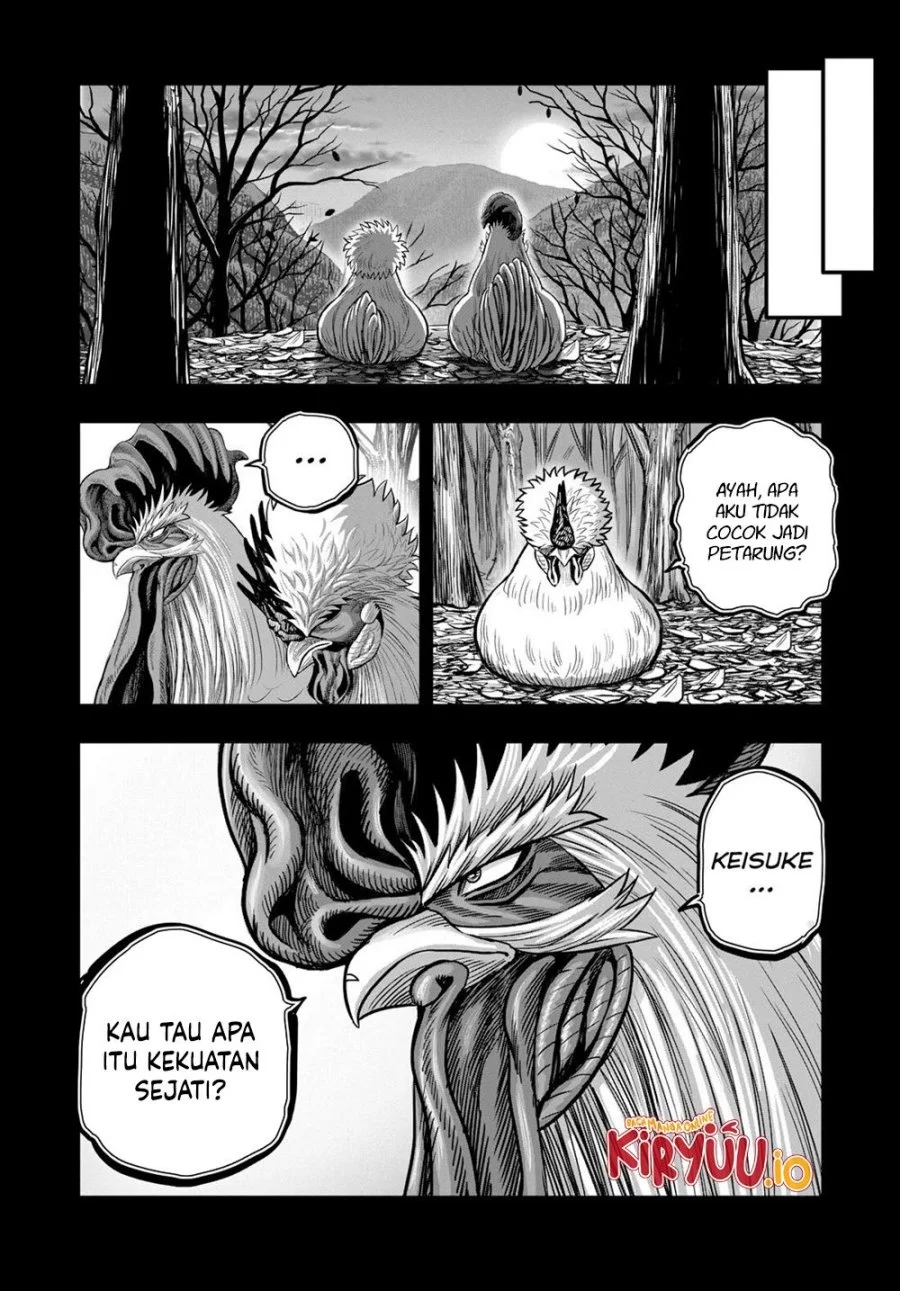 Rooster Fighter Chapter 27 - halaman 17