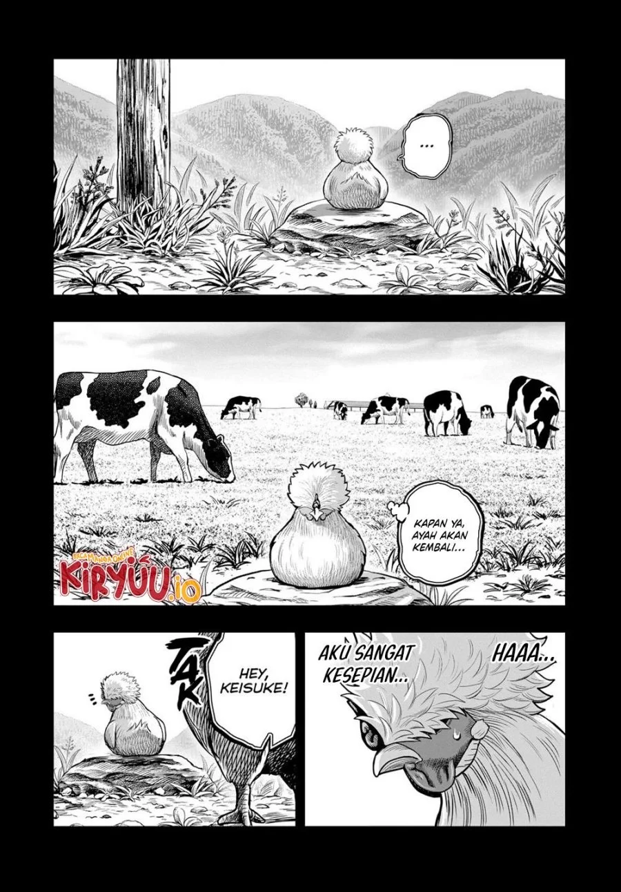 Rooster Fighter Chapter 27 - halaman 3