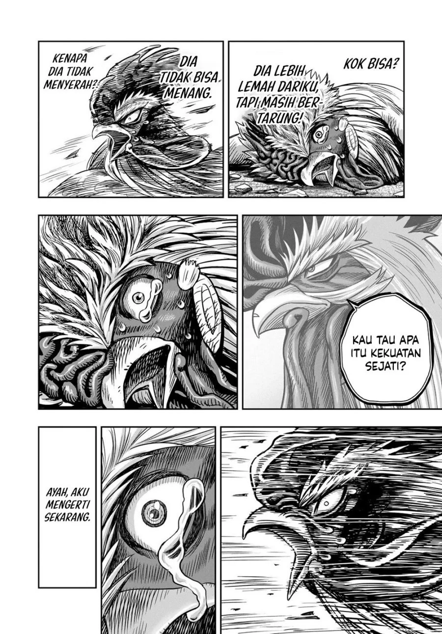 Rooster Fighter Chapter 27 - halaman 43