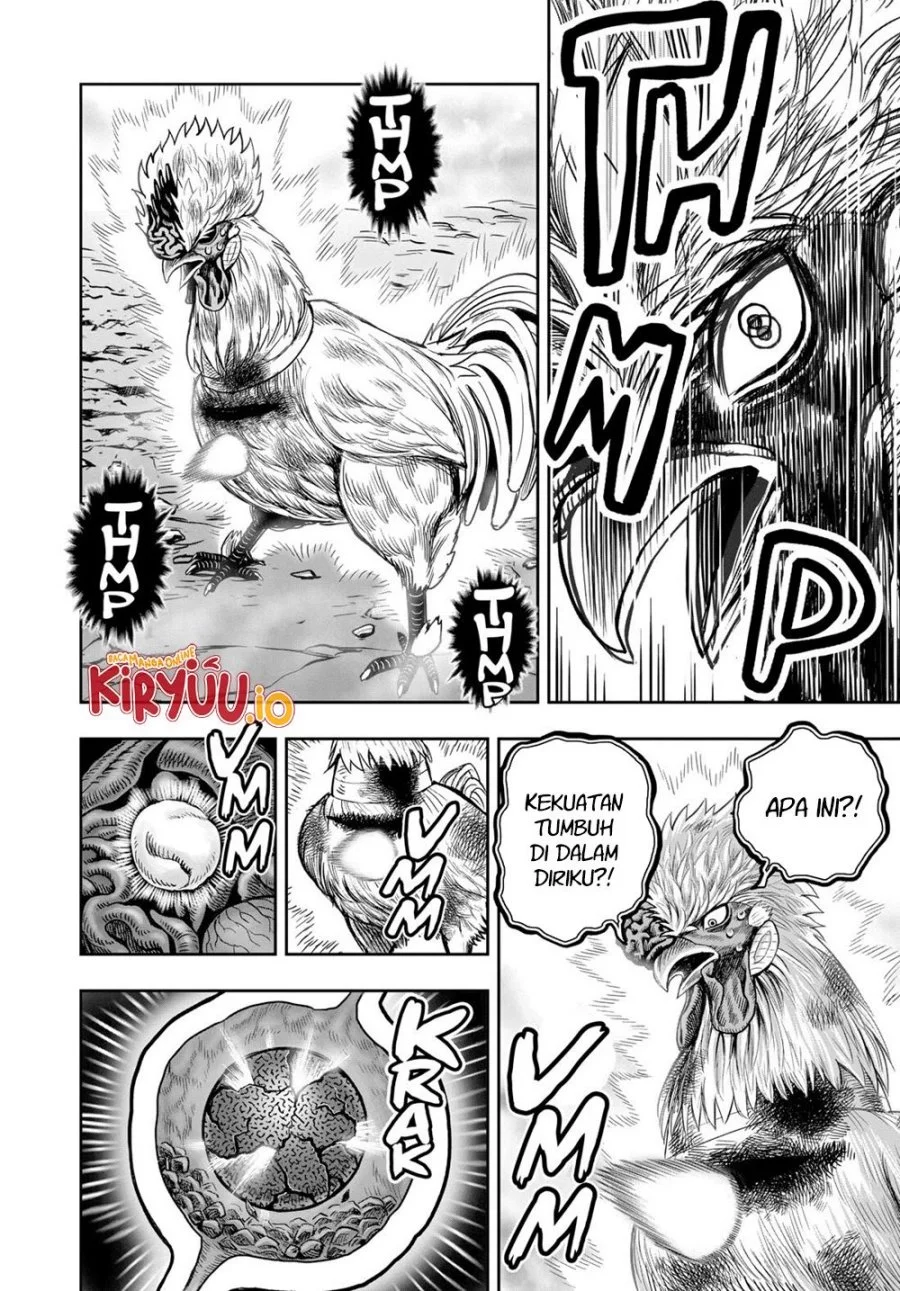 Rooster Fighter Chapter 27 - halaman 47