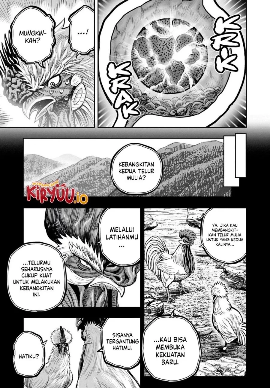 Rooster Fighter Chapter 27 - halaman 48