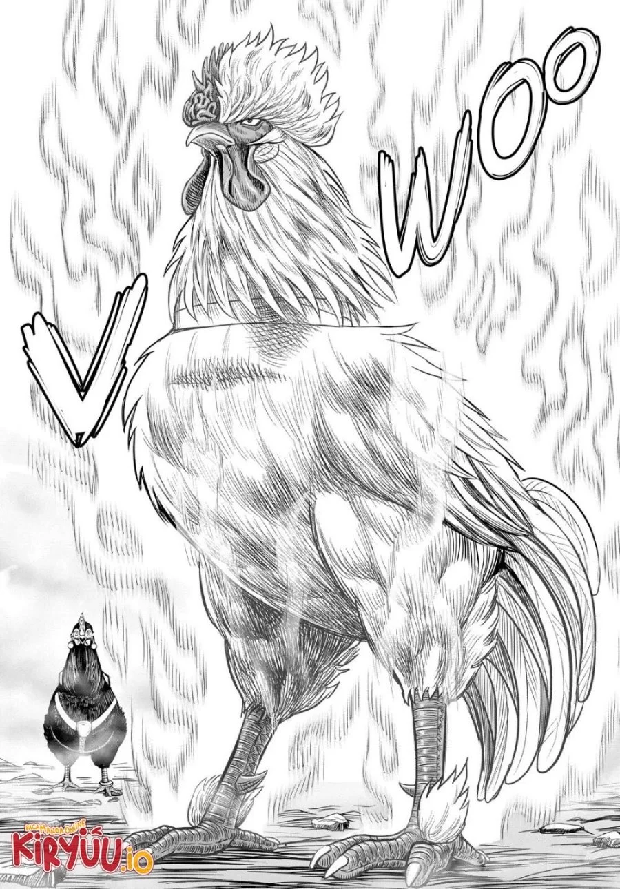 Rooster Fighter Chapter 27 - halaman 51