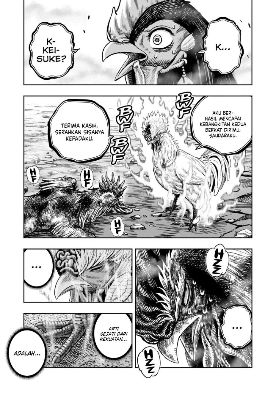 Rooster Fighter Chapter 27 - halaman 52