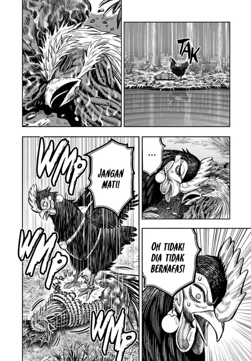 Rooster Fighter Chapter 29 - halaman 37