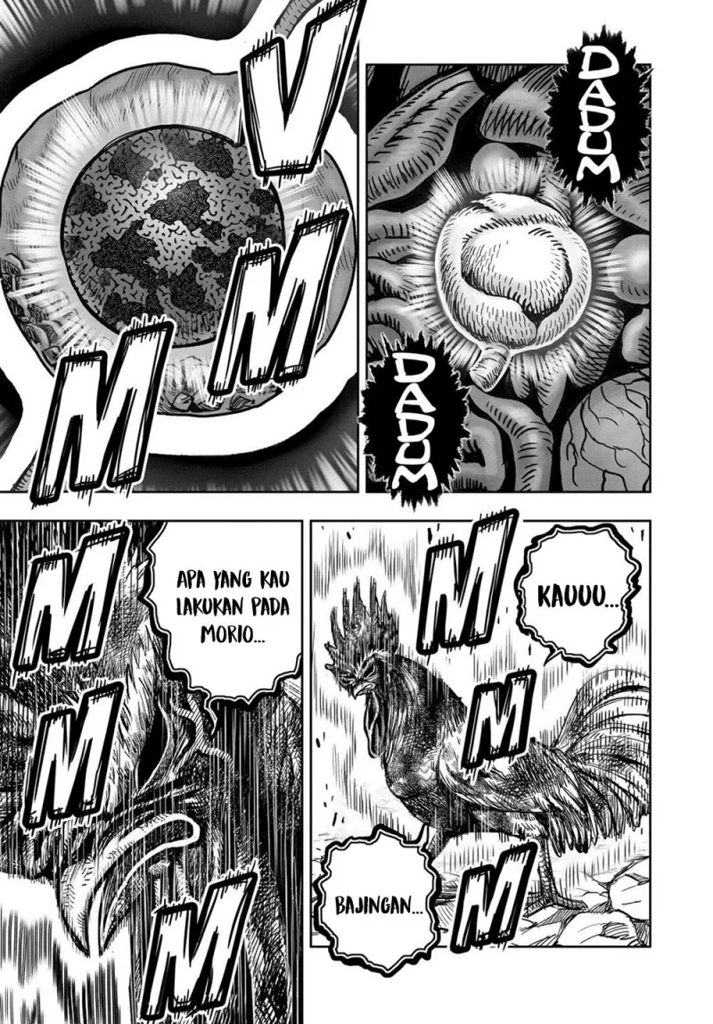 Rooster Fighter Chapter 29 - halaman 53