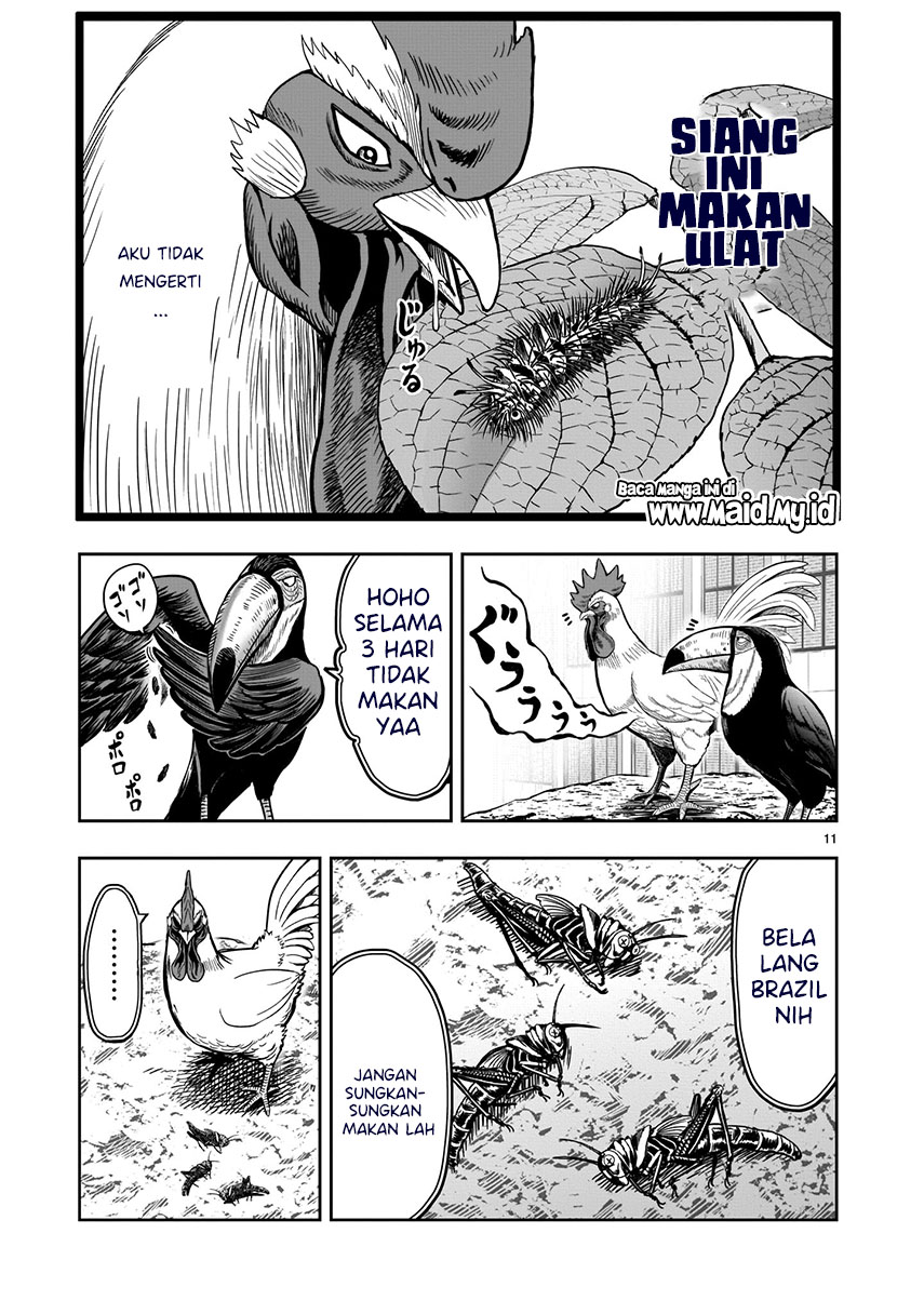 Rooster Fighter Chapter 3 - halaman 12