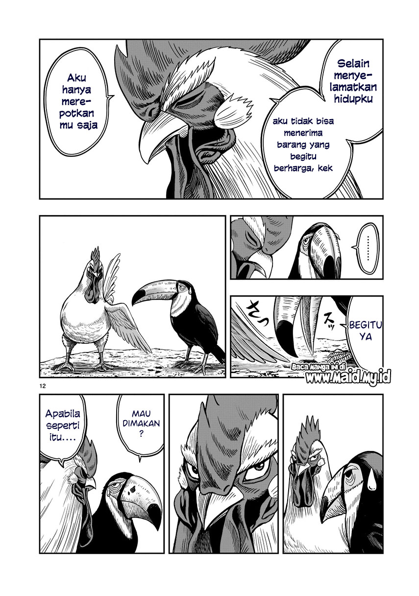 Rooster Fighter Chapter 3 - halaman 13