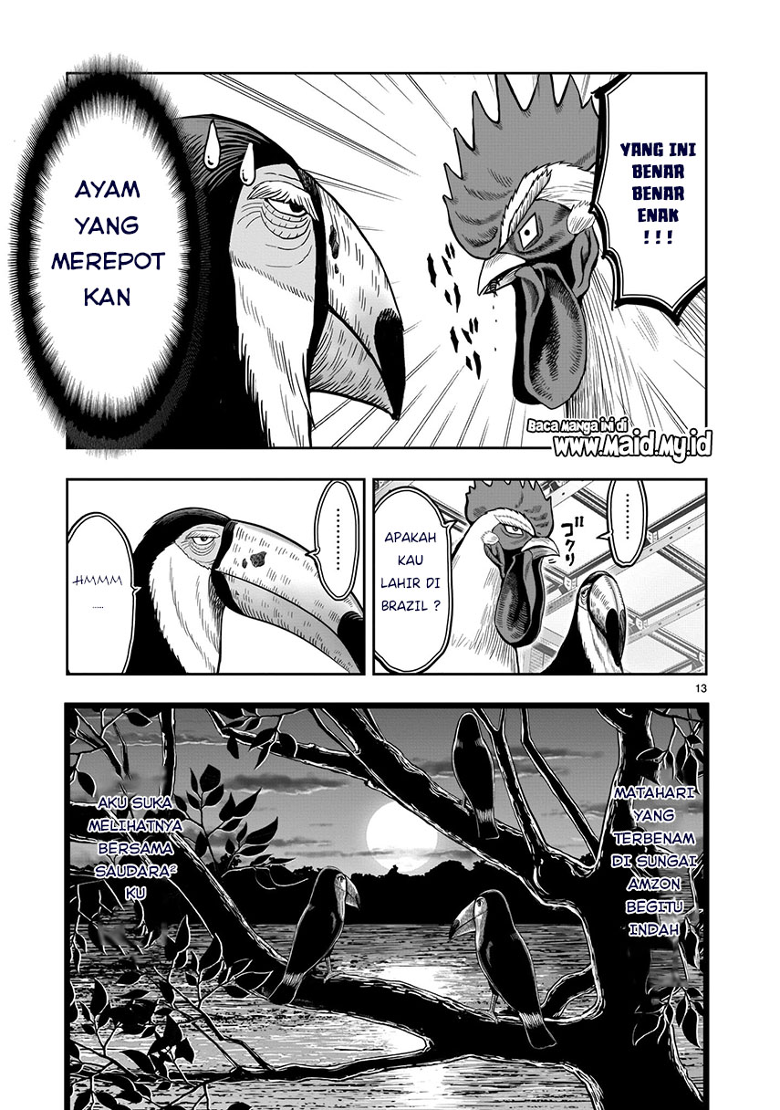 Rooster Fighter Chapter 3 - halaman 14