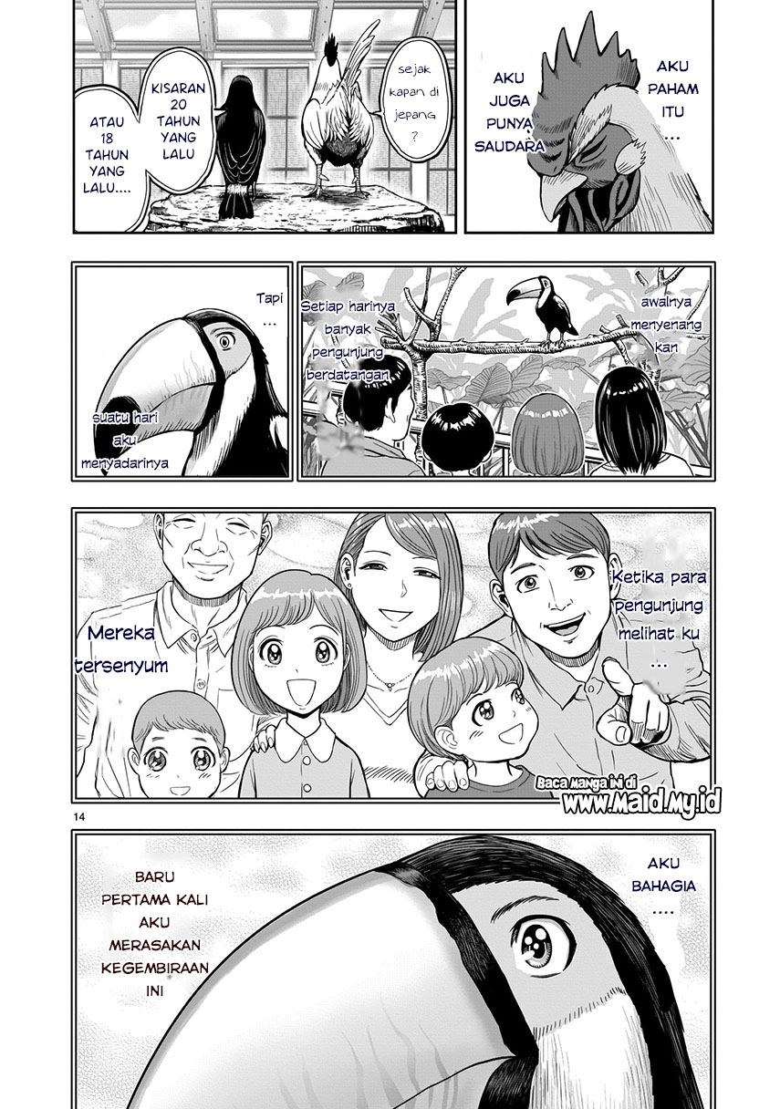 Rooster Fighter Chapter 3 - halaman 15