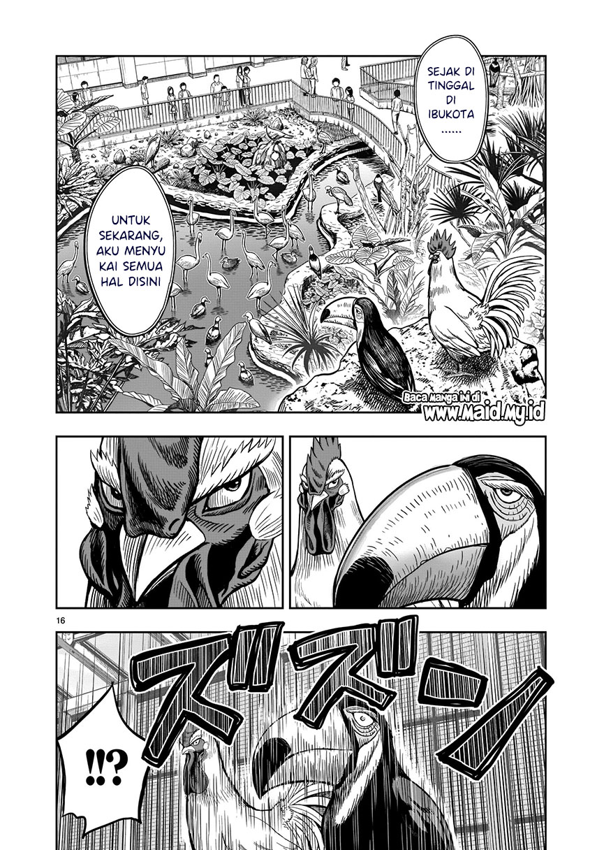 Rooster Fighter Chapter 3 - halaman 17