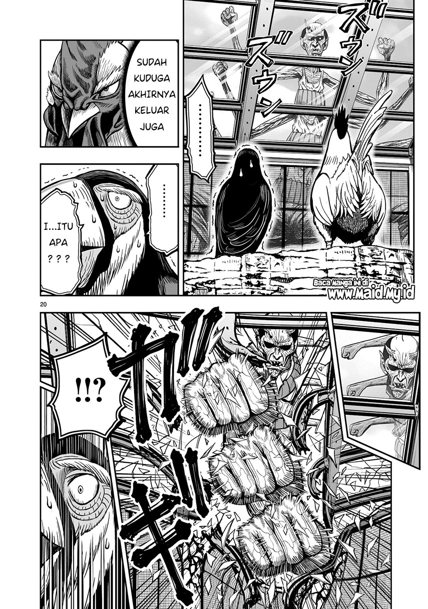 Rooster Fighter Chapter 3 - halaman 21