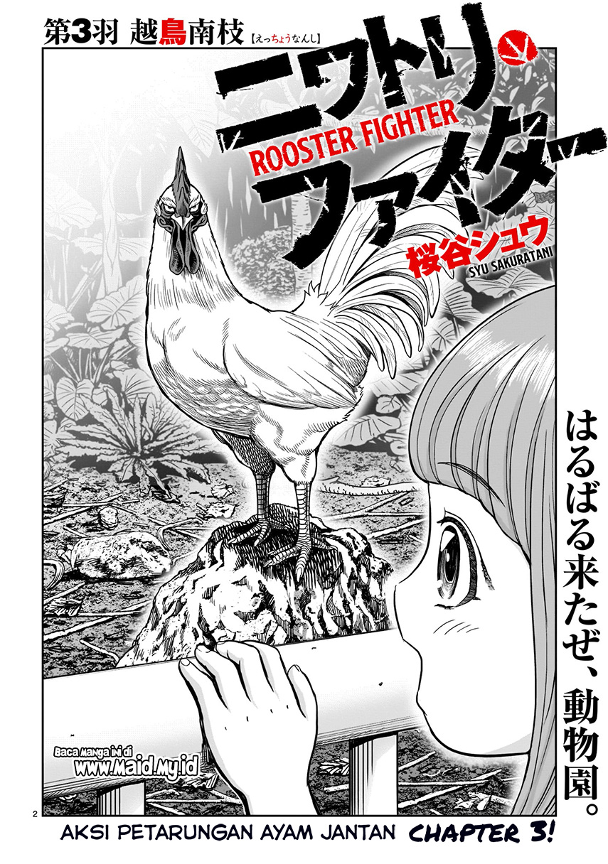 Rooster Fighter Chapter 3 - halaman 3