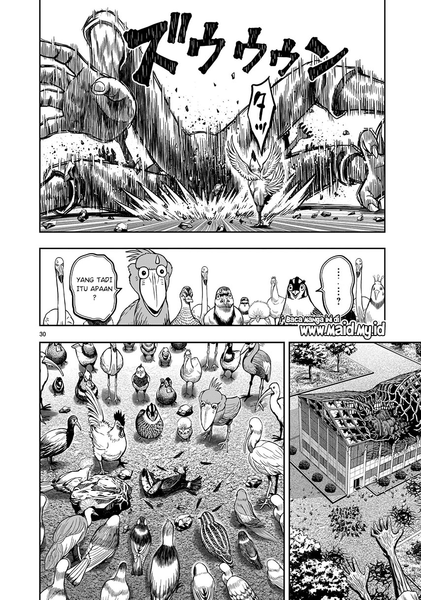 Rooster Fighter Chapter 3 - halaman 30