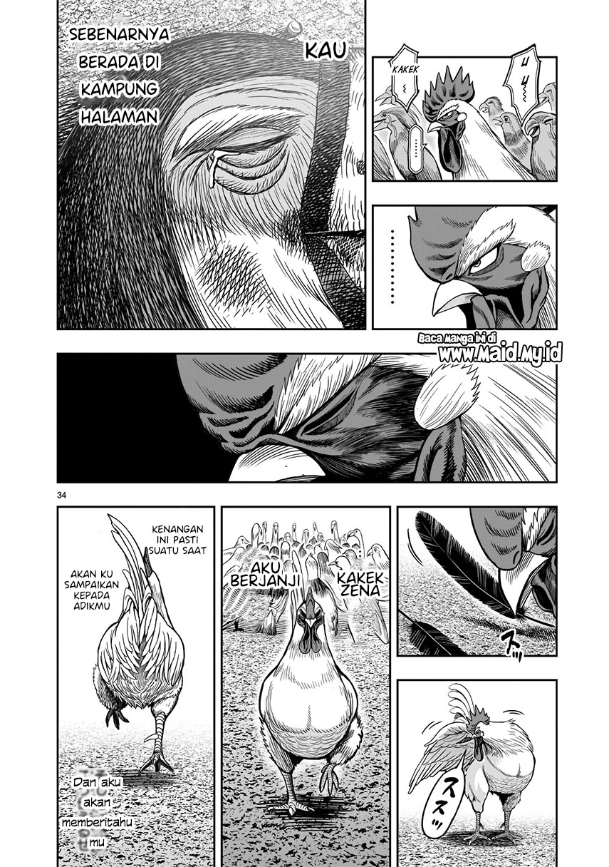 Rooster Fighter Chapter 3 - halaman 34