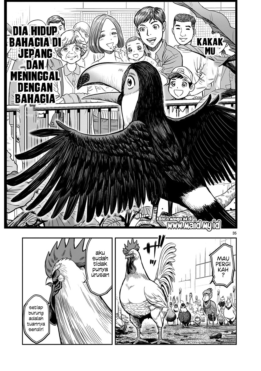 Rooster Fighter Chapter 3 - halaman 35
