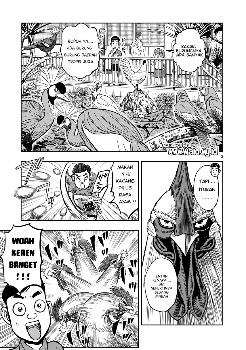 Rooster Fighter Chapter 3 - halaman 4