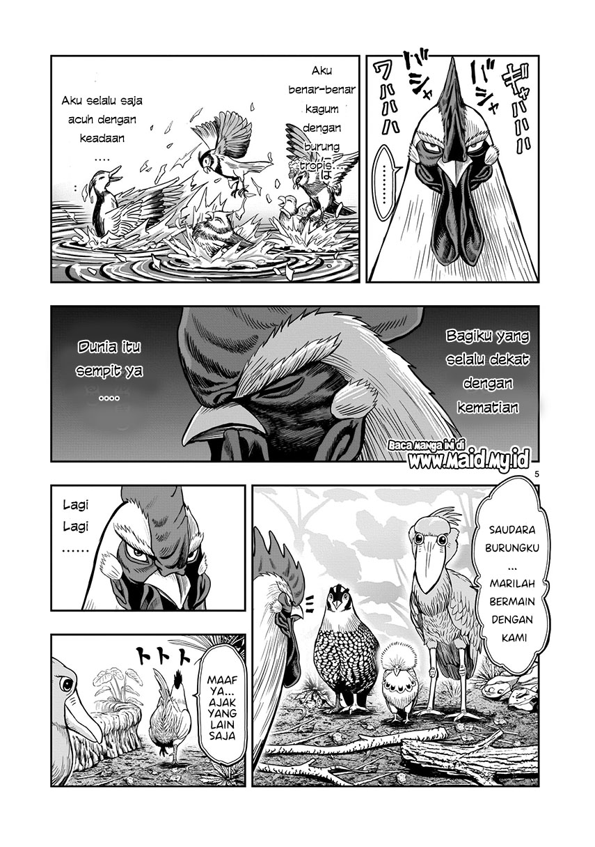 Rooster Fighter Chapter 3 - halaman 6