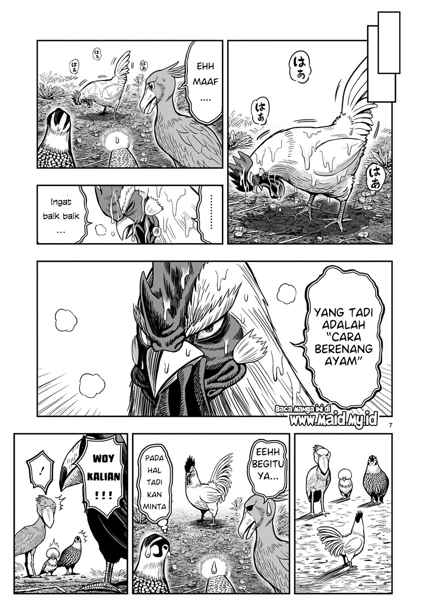 Rooster Fighter Chapter 3 - halaman 8
