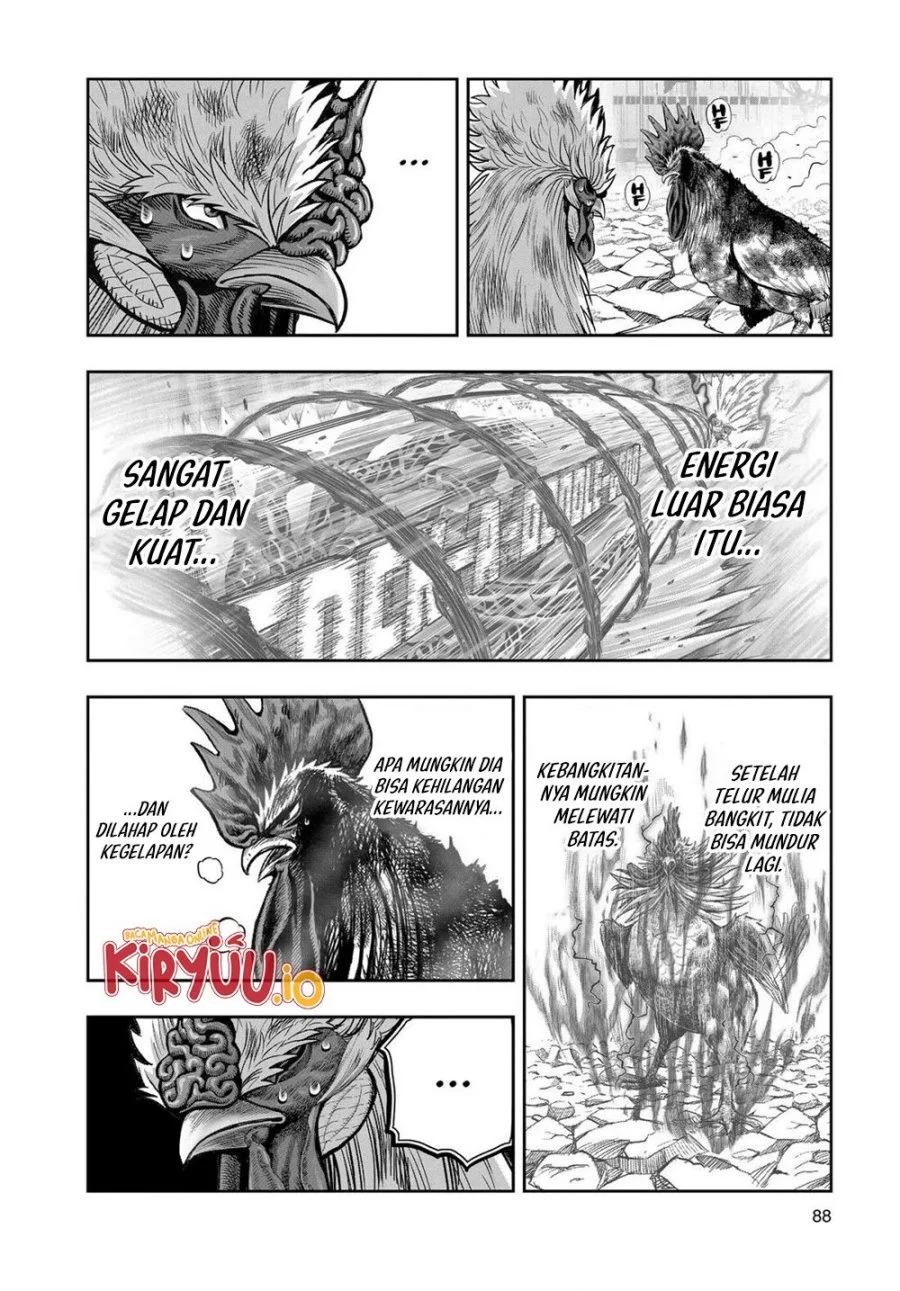 Rooster Fighter Chapter 30 - halaman 3