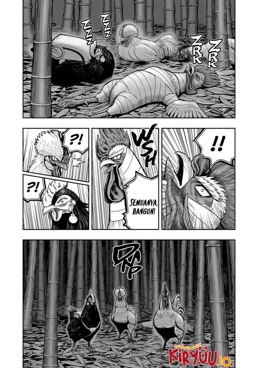 Rooster Fighter Chapter 32 - halaman 19