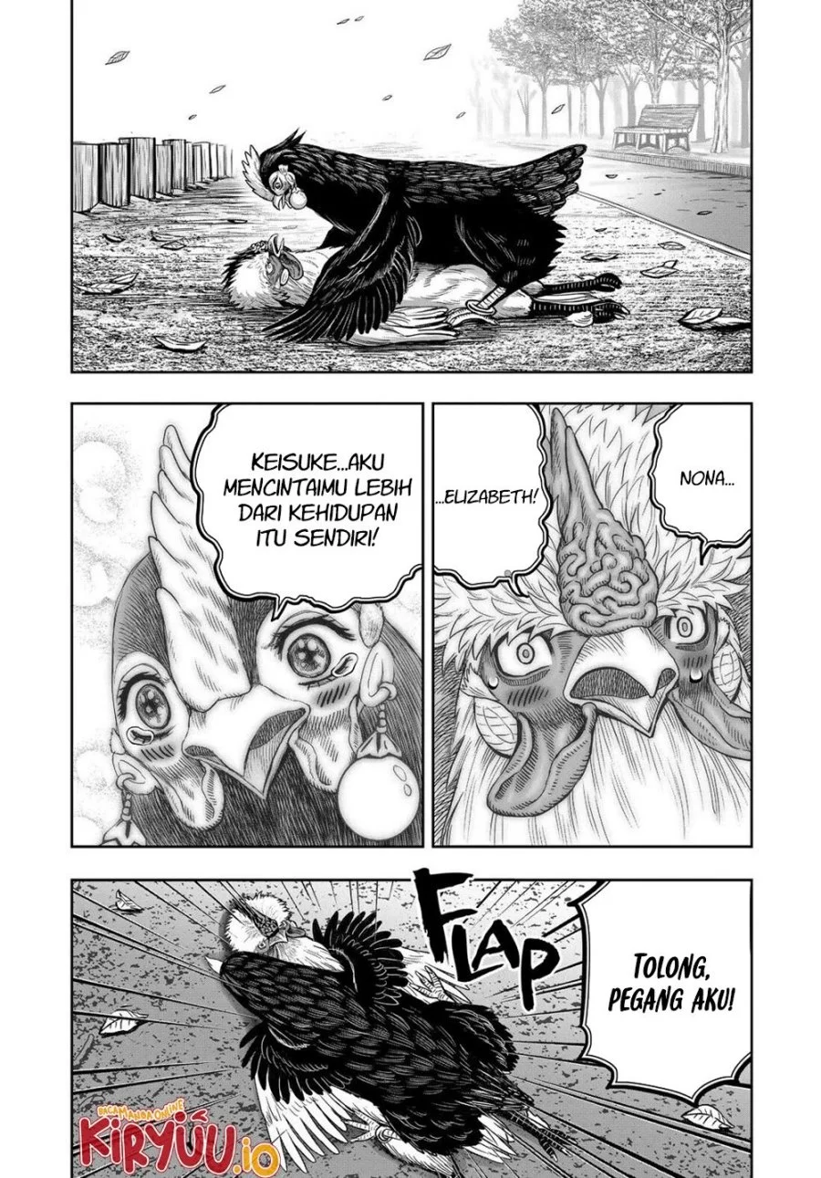 Rooster Fighter Chapter 32 - halaman 5