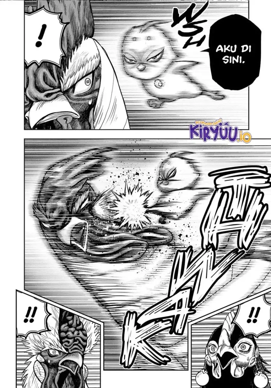 Rooster Fighter Chapter 33 - halaman 11