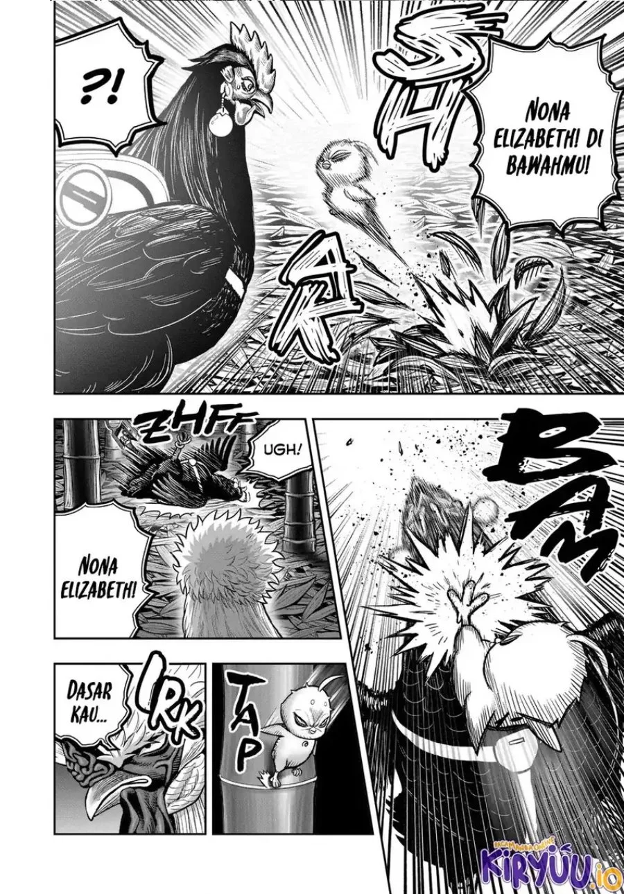 Rooster Fighter Chapter 33 - halaman 17