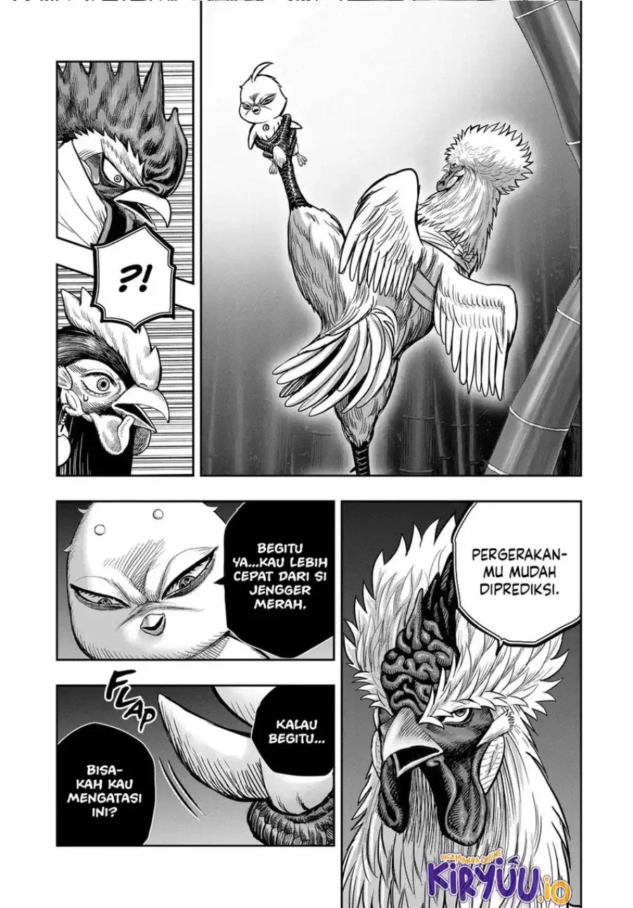 Rooster Fighter Chapter 33 - halaman 19