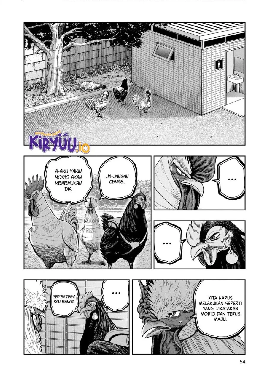 Rooster Fighter Chapter 34 - halaman 13