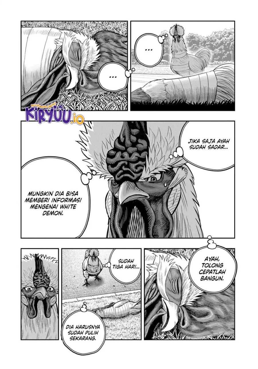 Rooster Fighter Chapter 34 - halaman 14