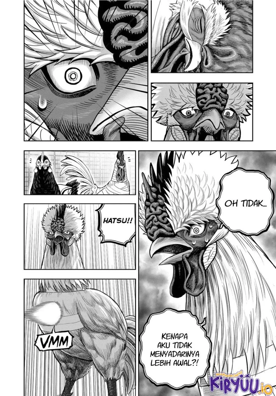 Rooster Fighter Chapter 34 - halaman 15