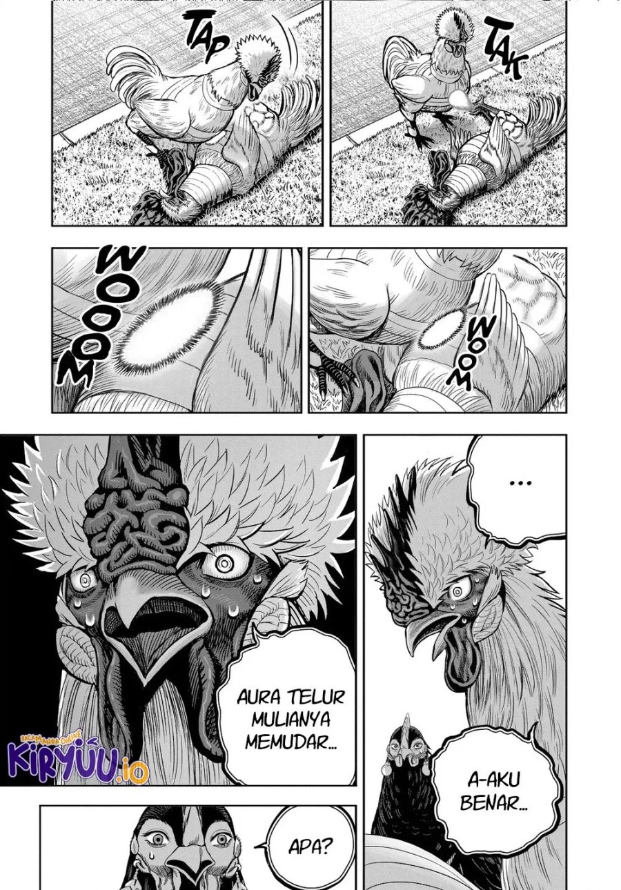 Rooster Fighter Chapter 34 - halaman 16