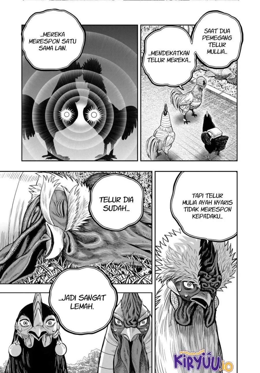 Rooster Fighter Chapter 34 - halaman 18