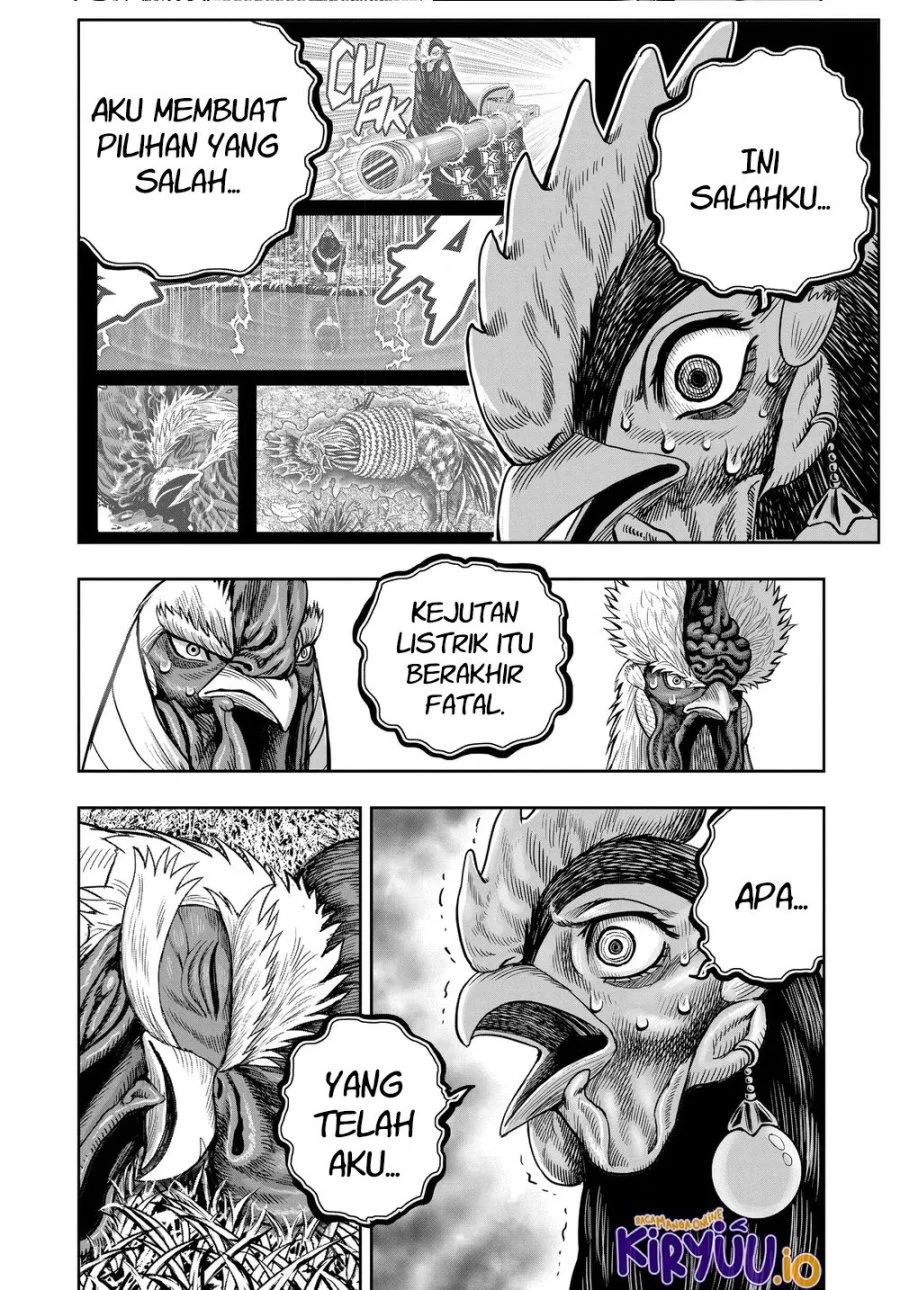 Rooster Fighter Chapter 34 - halaman 21