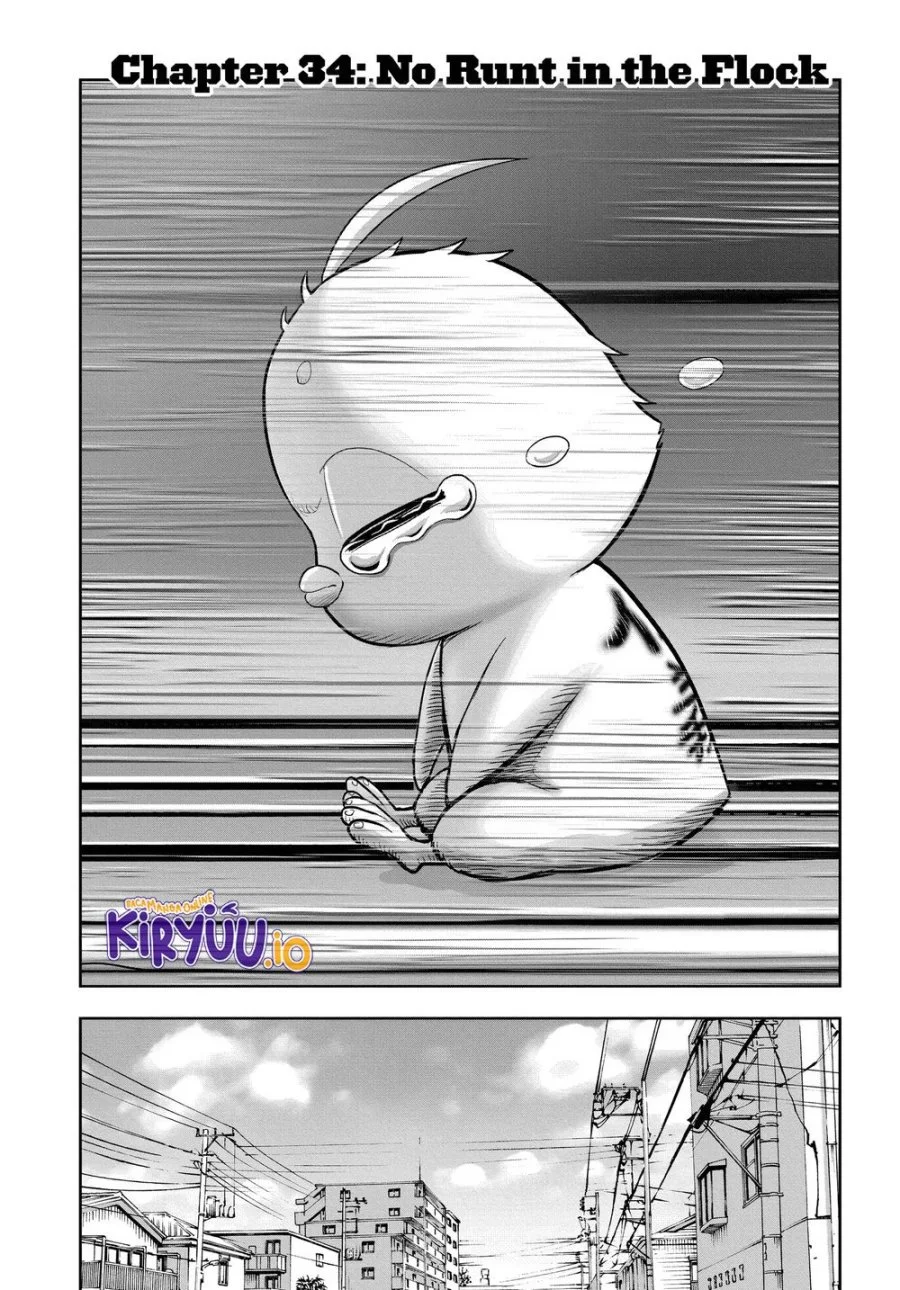 Rooster Fighter Chapter 34 - halaman 3