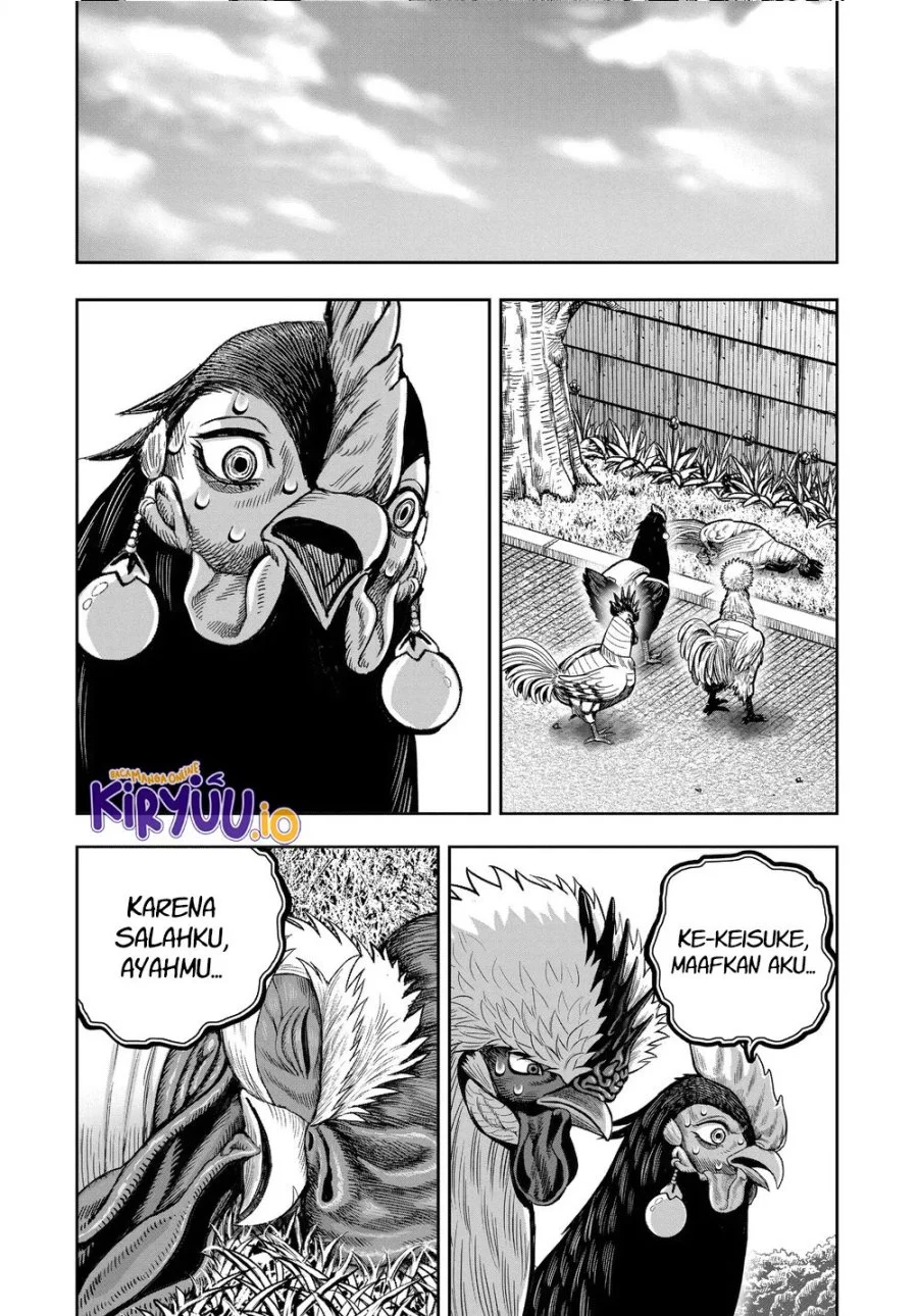Rooster Fighter Chapter 34 - halaman 38