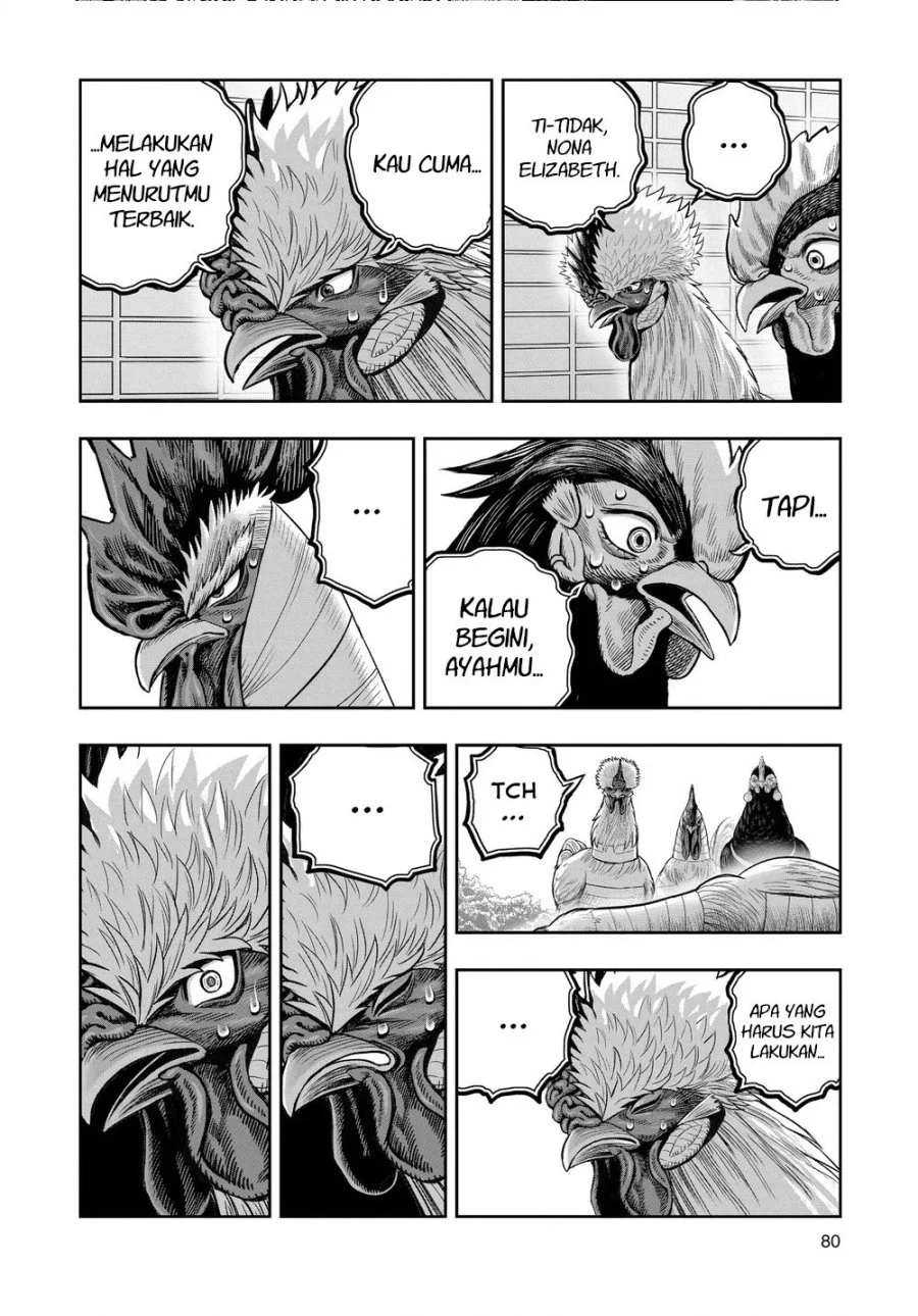 Rooster Fighter Chapter 34 - halaman 39