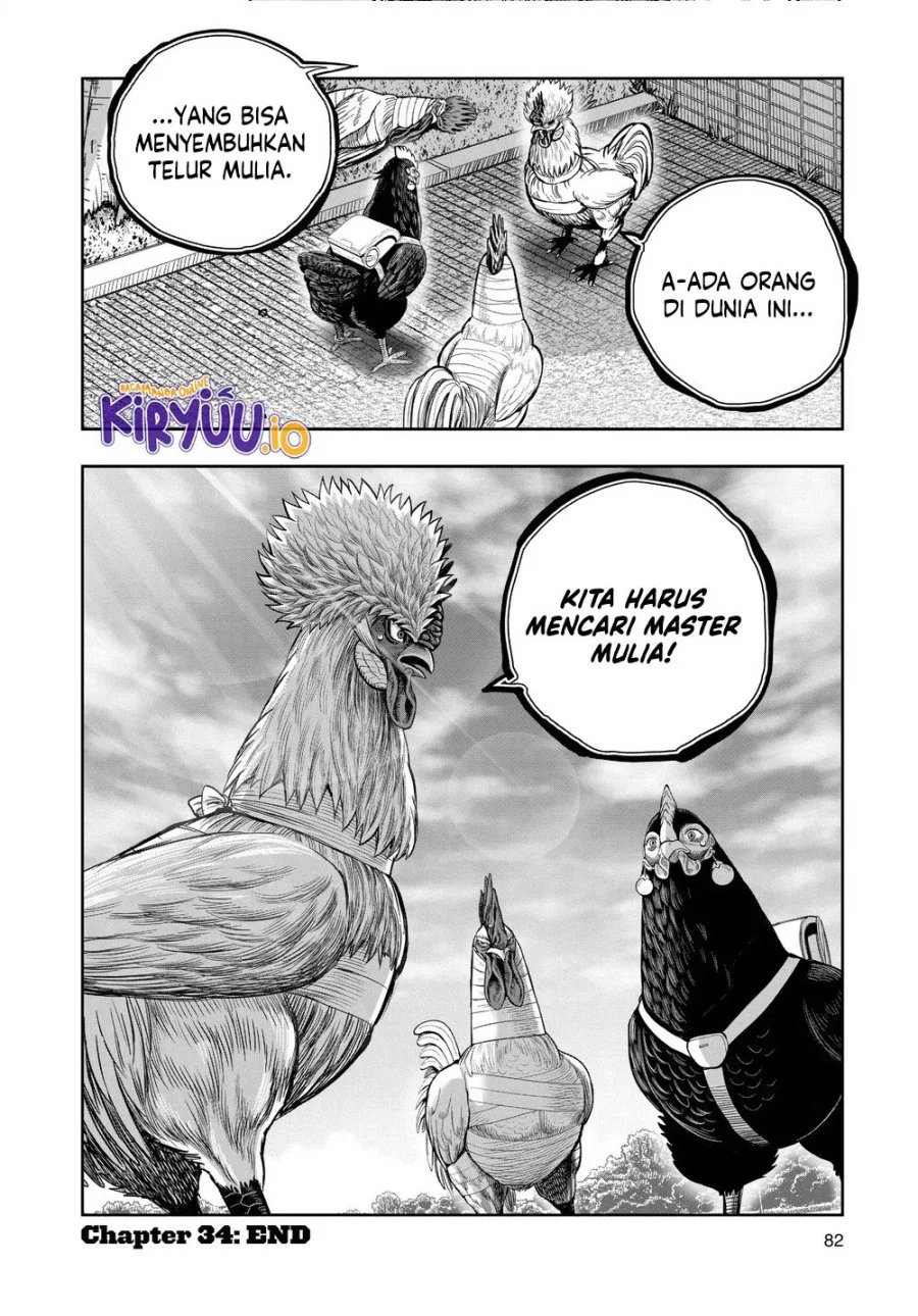 Rooster Fighter Chapter 34 - halaman 41
