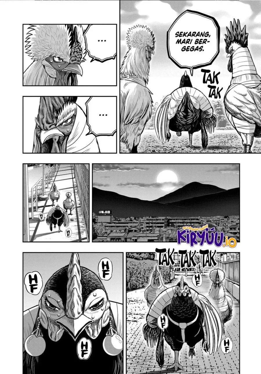 Rooster Fighter Chapter 35.2 - halaman 9