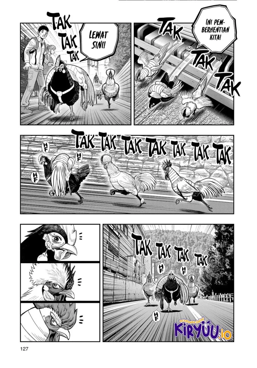 Rooster Fighter Chapter 36 - halaman 16
